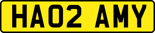 HA02AMY