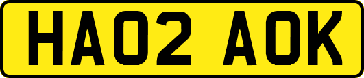 HA02AOK