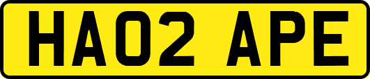 HA02APE