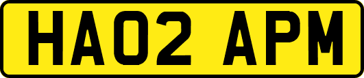 HA02APM