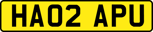 HA02APU
