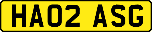 HA02ASG