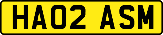 HA02ASM