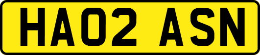 HA02ASN