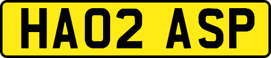 HA02ASP