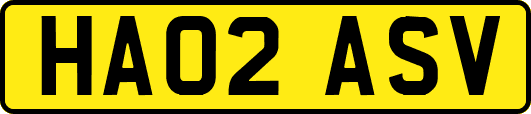 HA02ASV