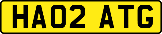 HA02ATG