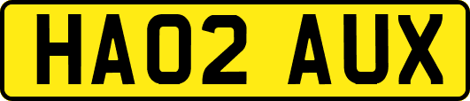 HA02AUX