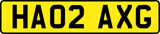 HA02AXG
