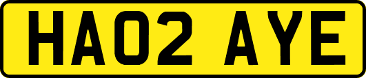 HA02AYE