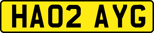 HA02AYG