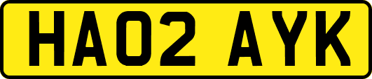 HA02AYK
