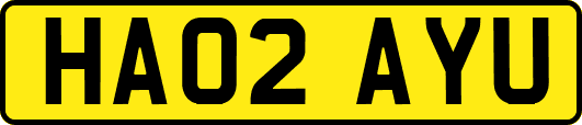 HA02AYU