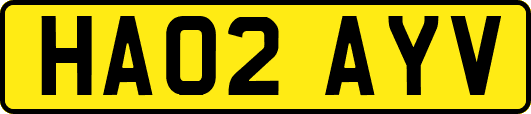 HA02AYV