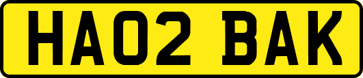 HA02BAK