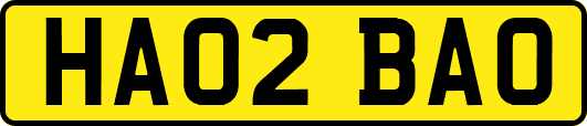 HA02BAO