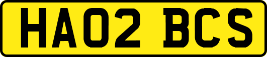 HA02BCS
