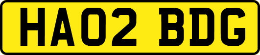 HA02BDG