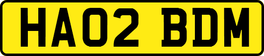 HA02BDM