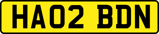 HA02BDN