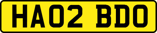 HA02BDO