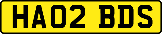 HA02BDS