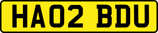 HA02BDU