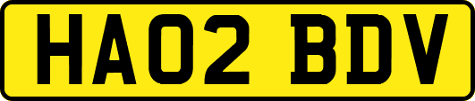 HA02BDV