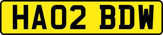 HA02BDW
