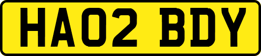 HA02BDY