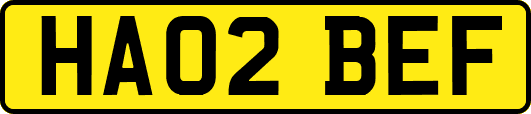 HA02BEF