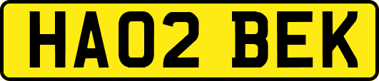 HA02BEK