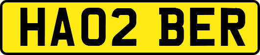 HA02BER
