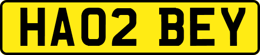 HA02BEY