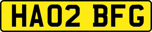HA02BFG