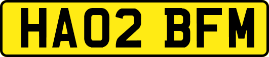 HA02BFM