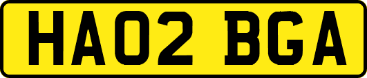 HA02BGA