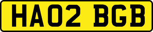 HA02BGB