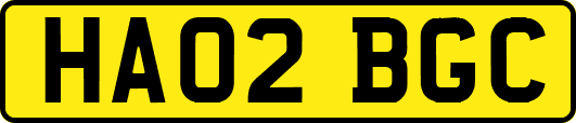 HA02BGC