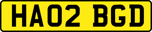 HA02BGD