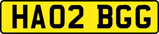 HA02BGG
