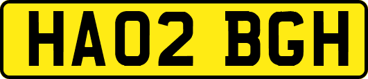 HA02BGH