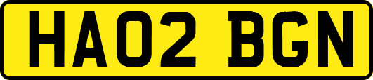 HA02BGN