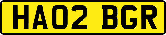 HA02BGR