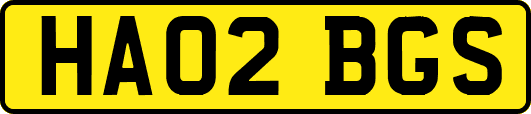HA02BGS
