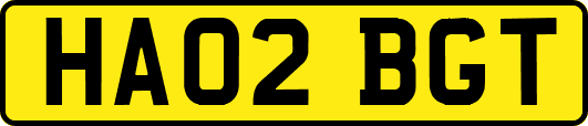 HA02BGT