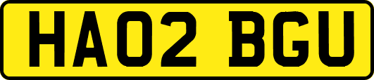 HA02BGU
