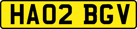HA02BGV