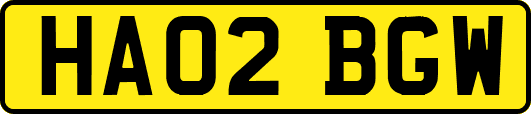 HA02BGW