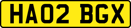HA02BGX
